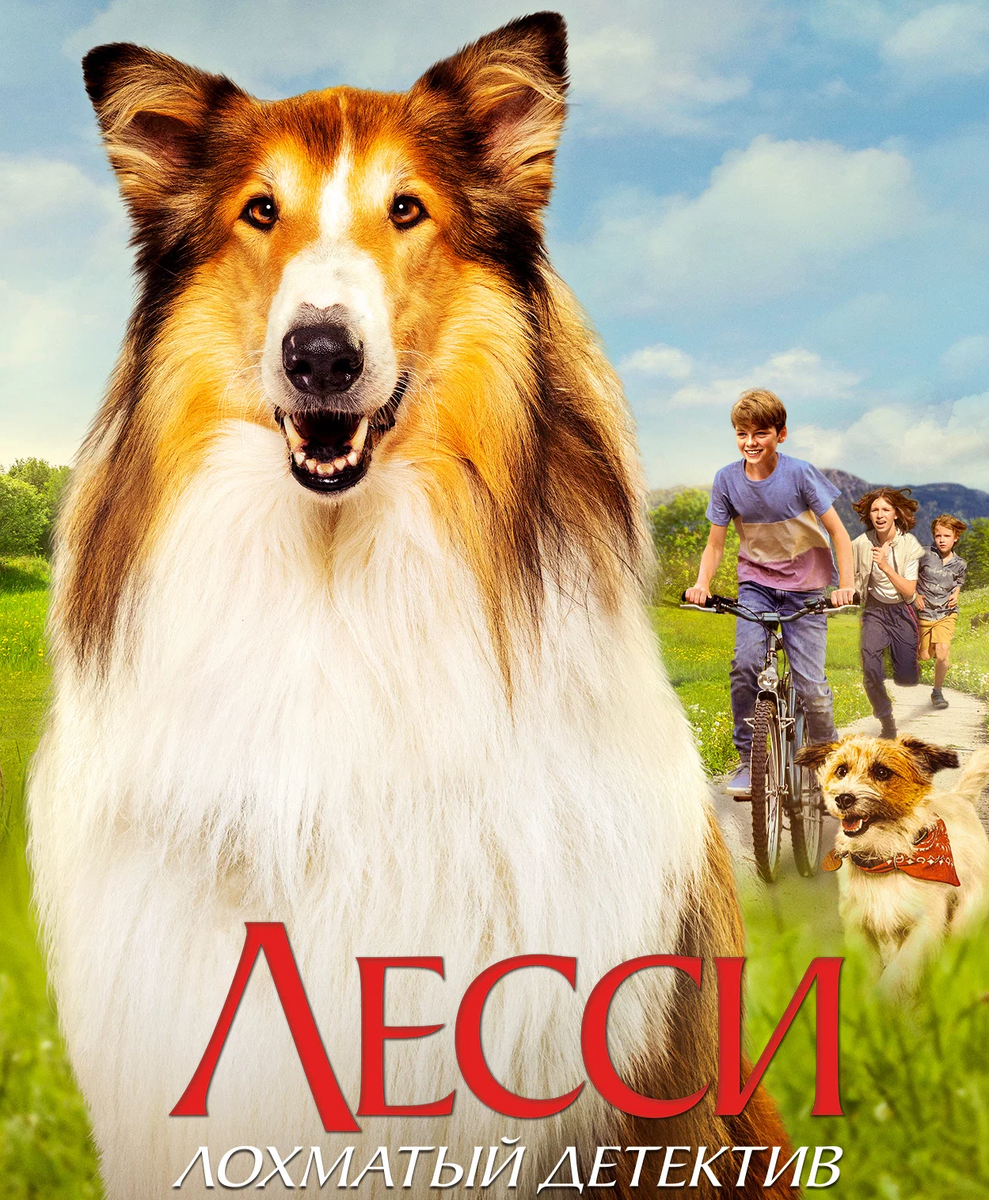 Постер с кинопоиска: https://www.kinopoisk.ru/picture/4009563/