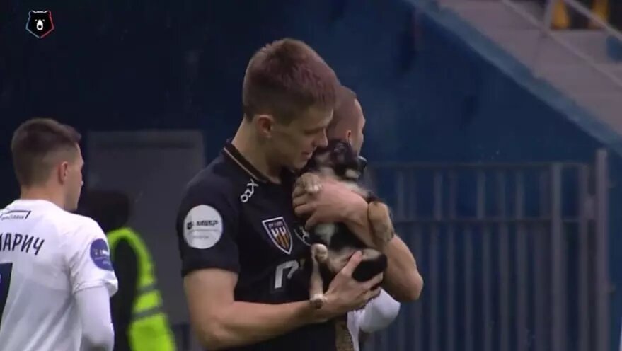     Футболисты «Пари НН» перед матчем 13-го тура РПЛ 29 октября вышли на футбольное поле с собаками в руках. Об этом сообщает пресс-служба лиги.