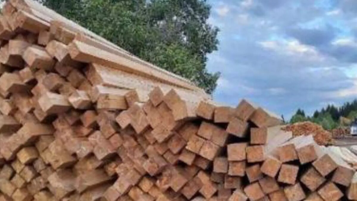     Житель Бирилюсского района отправился в колонию за продажу несуществующих пиломатериалов.