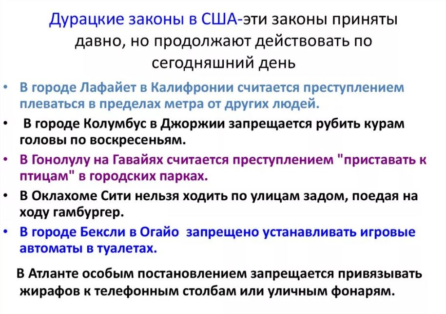 Принятый закон запрещал на территории сша. Законы США. Законы США на русском. Дурацкие законы США. Законы в Америке.