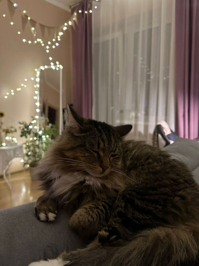 Листайте вправо, чтобы увидеть больше изображений