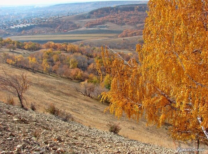 Урочище Корольков сад, Саратов. Была там неделю назад, жаль, не сфотографировала молельный дом. Буду в тех краях, сделаю фотографию.