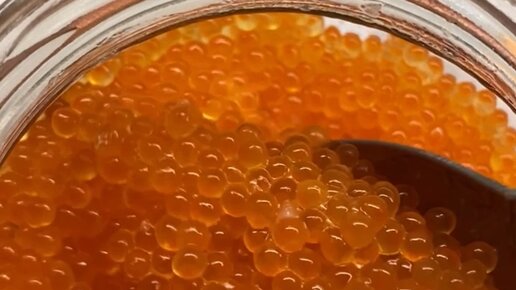 КУЗЯКА | Ух, какая рыбка нам попалась 🤩 | Дзен