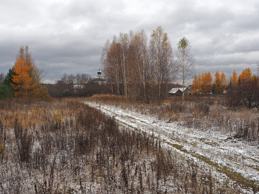 Дорога в Большие Дорки.