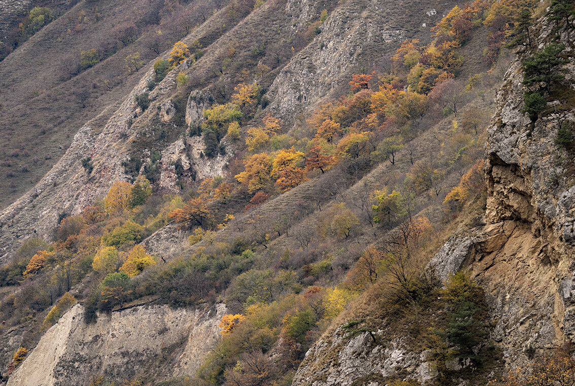 Кабардино Балкария осень Эльбрус