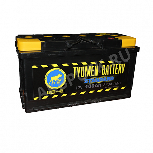 АКБ Tyumen Battery 100Ah 830A