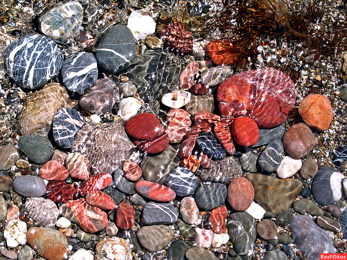 Фото из открытых источников,