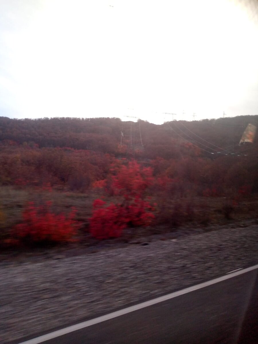 Фото из личного архива. 