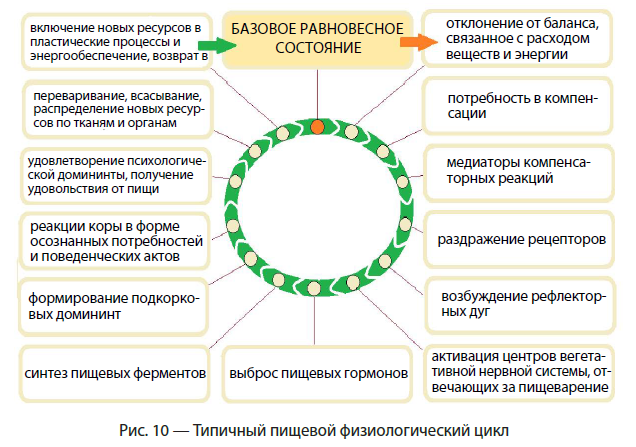 Что такое функциональная грамотность и как она связана с общим интеллектом