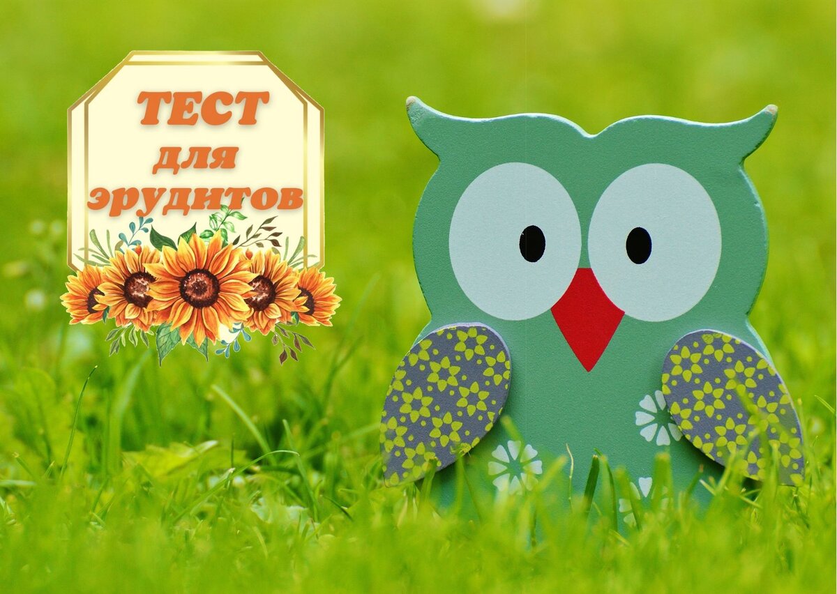 Источник изображения: pixabay.com, дизайн автора публикации