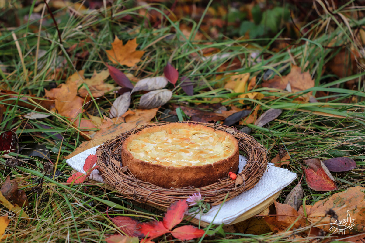 Пошли с пирогом в парк — позабавить деревья фотосессией)
