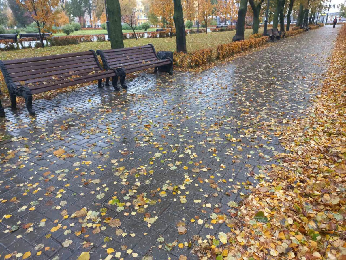 Фото автора.