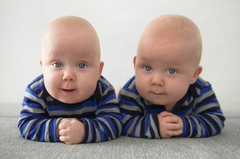 Гороскоп. Ноябрь. Близнецы