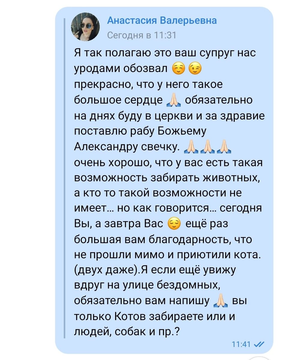 Помогатель от слова помогать. Как мы спасали сфинкса | Дом вверх дном | Дзен