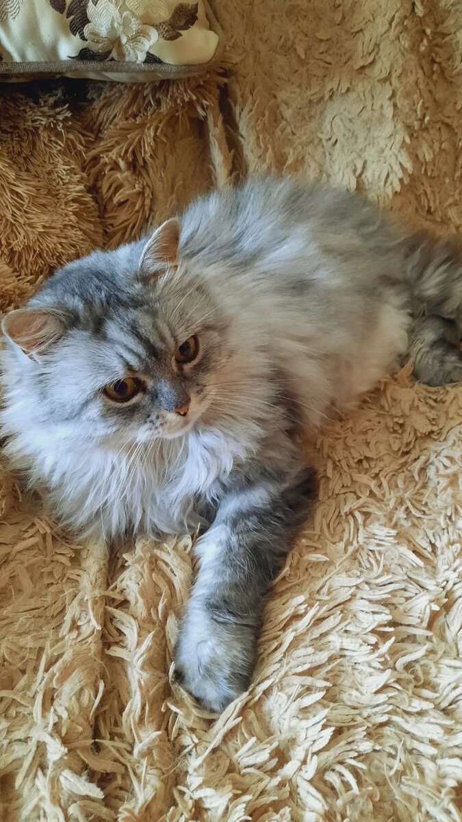 Нюша знает свой талант красиво лежать.