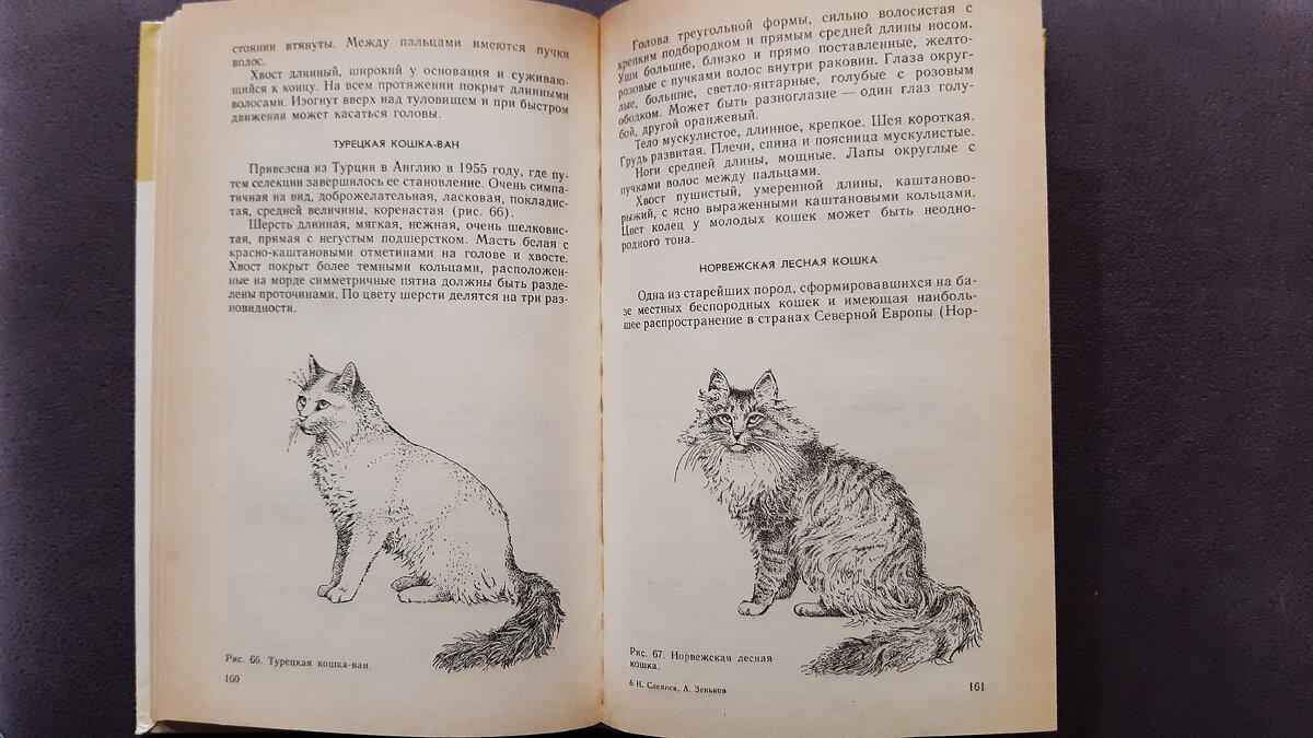 В книге описаны особенности пород кошек.