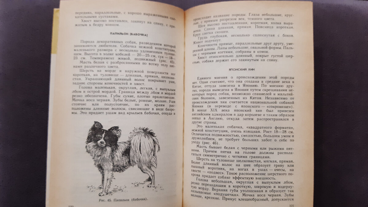 Также описаны породы собак.
