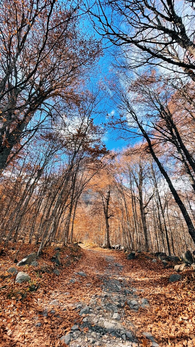 Цей сказка в горах 