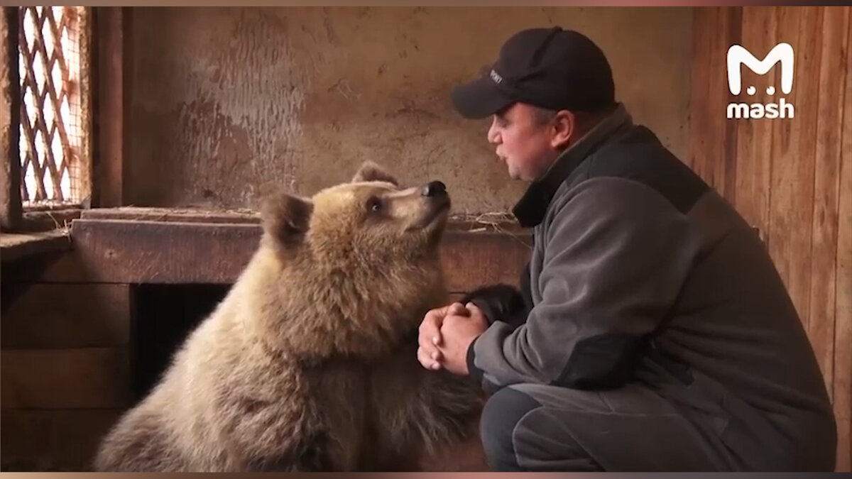    "Может, я ему папой стал": житель Башкирии рассказал, как приручил медведя