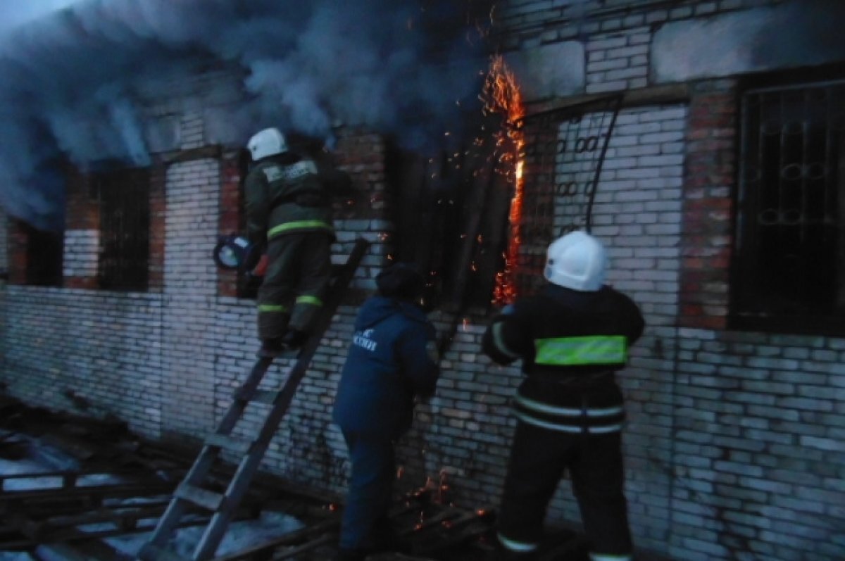    В Приозёрском районе обнаружены останки мужчины