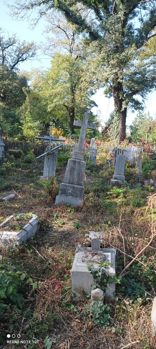 Фото автора Всесвятское кладбище Краснодар