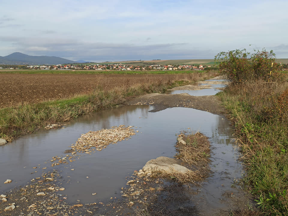 Фото из личного архива