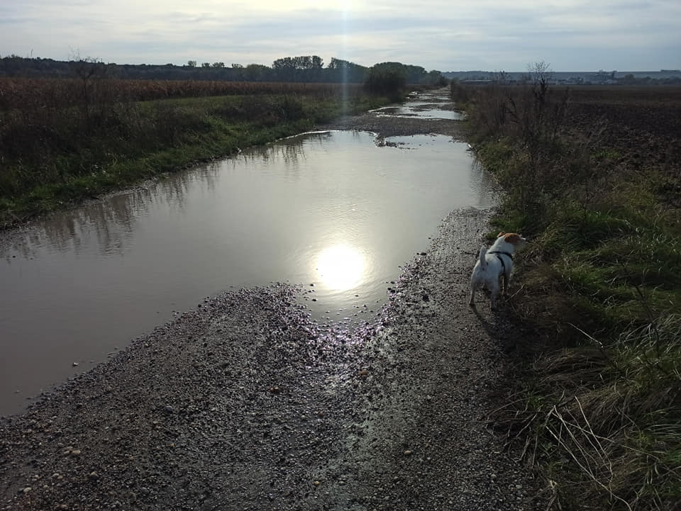 Фото из личного архива