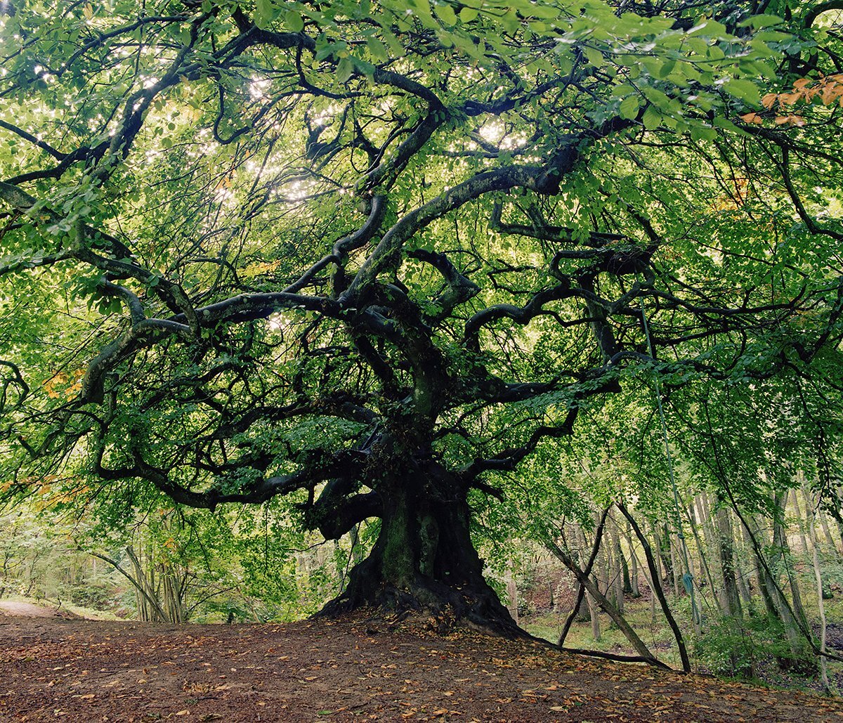 Фотография из общедоступных источников сети Интернет