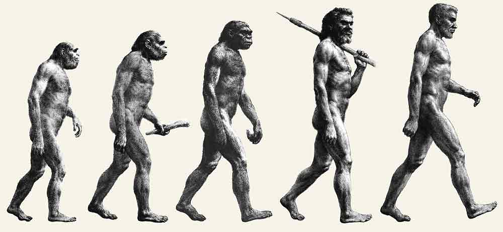 Предки людей виды. Эволюция человека хомосапиенс. Хомо Эректус хомо сапиенс хабилис. Питекантроп неандерталец сапиенс. Неандерталец, австралопитек, питекантроп, хомо сапиенс кроманьонец,.