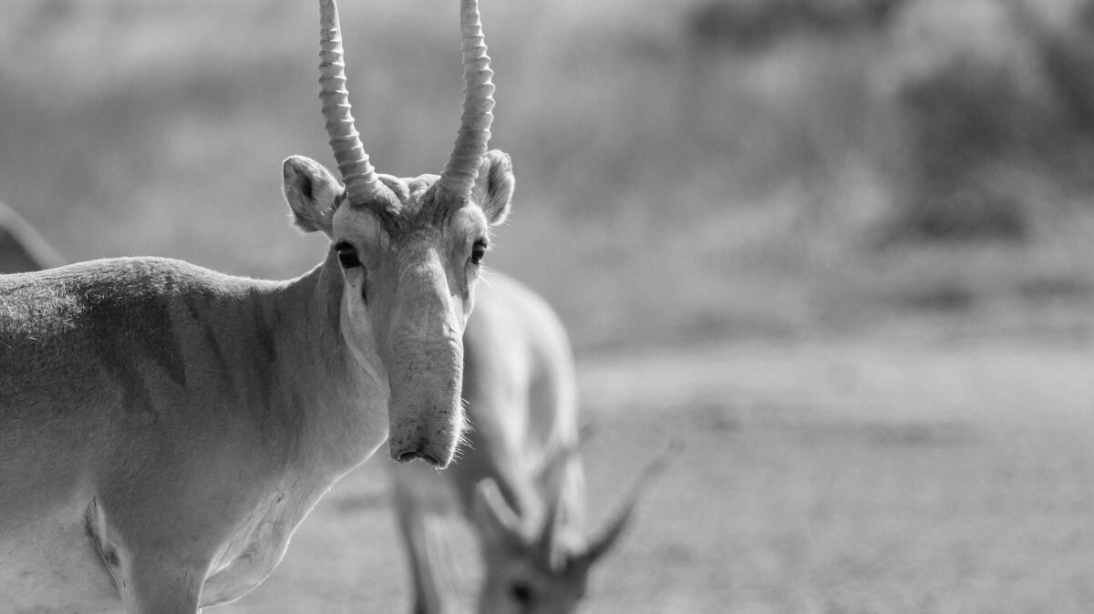    Фото: Depositphotos.com / Rostovdriver Август Макаров