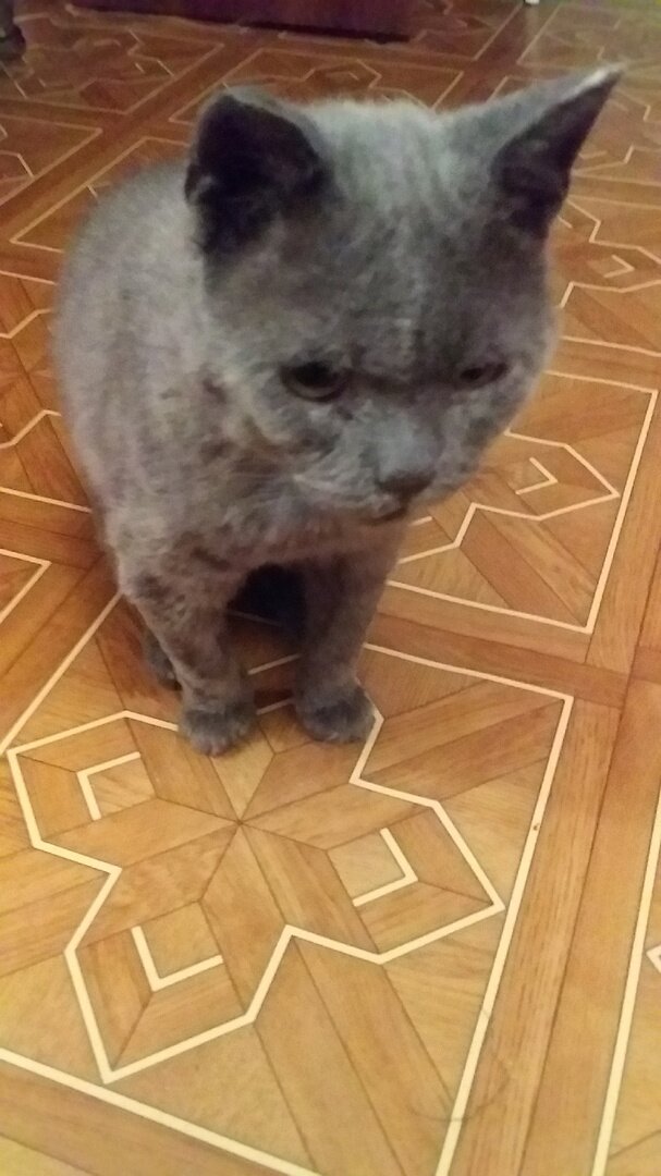 Рафик сейчас