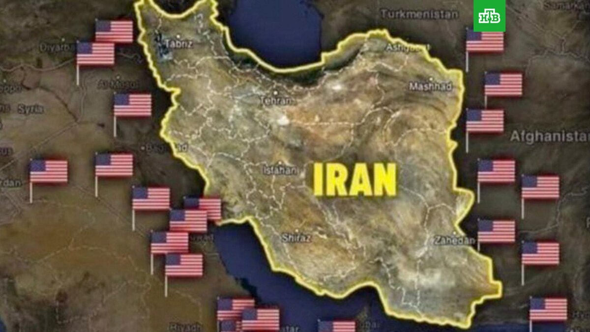    Фото: @elonmusk / соцсети