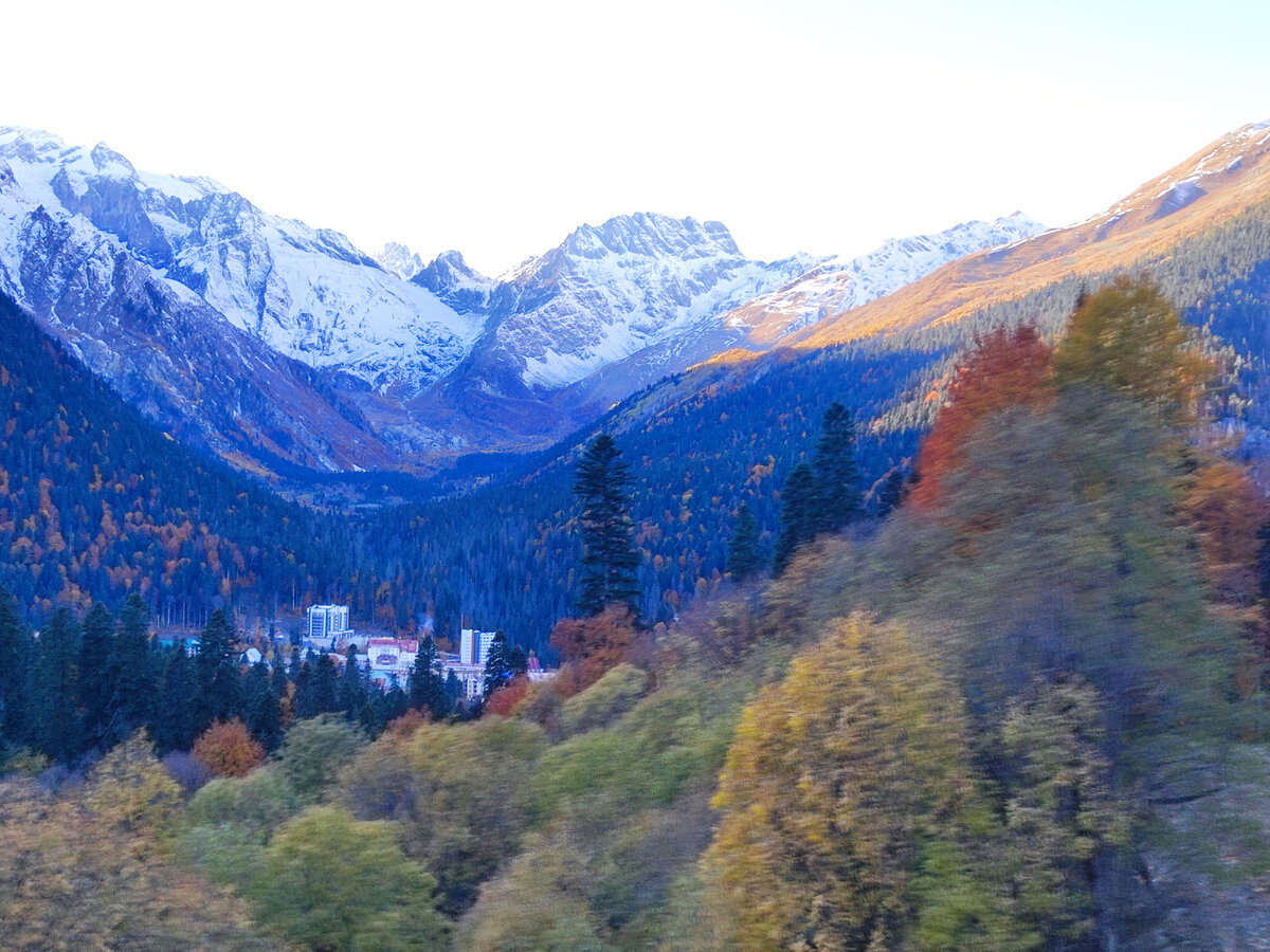 "Застывшая Картина Мира Красоты".