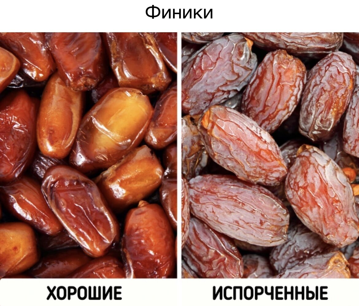 финик тунис