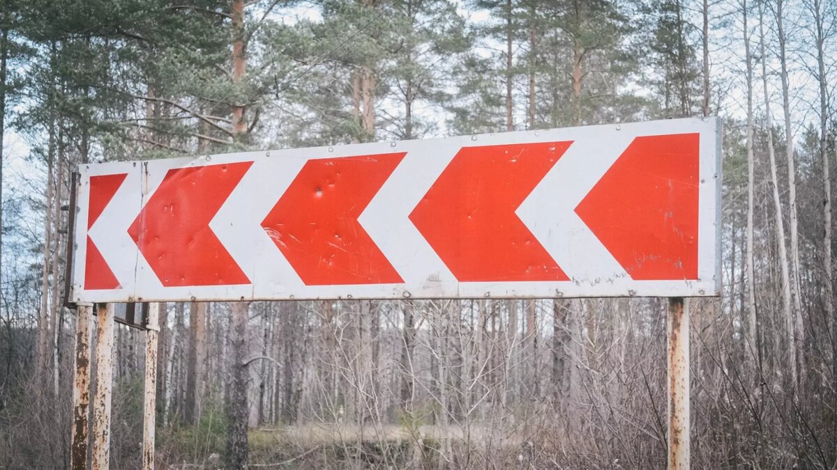     В Лаишевском районе Татарстана неизвестные закрыли дорожные знаки, находящиеся на трассе. Об этом изданию сообщил читатель Inkazan.