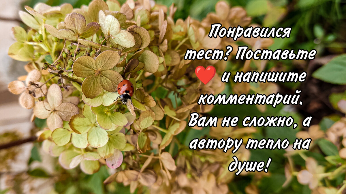 К сожалению, новая политика монетизации Дзена дарит нам лишь тепло 😄 Поэтому не скупитесь на обратную связь - авторам это важно!