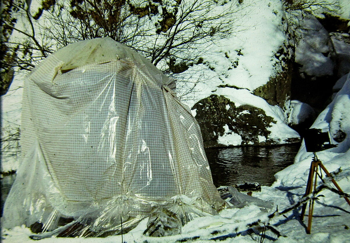 Фото автора, со слайда