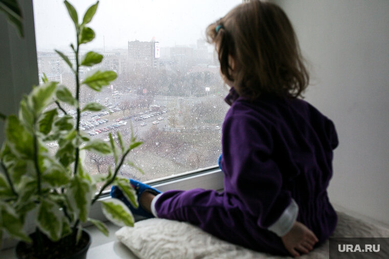    Украинцы просят Россию помочь вернуть им детей