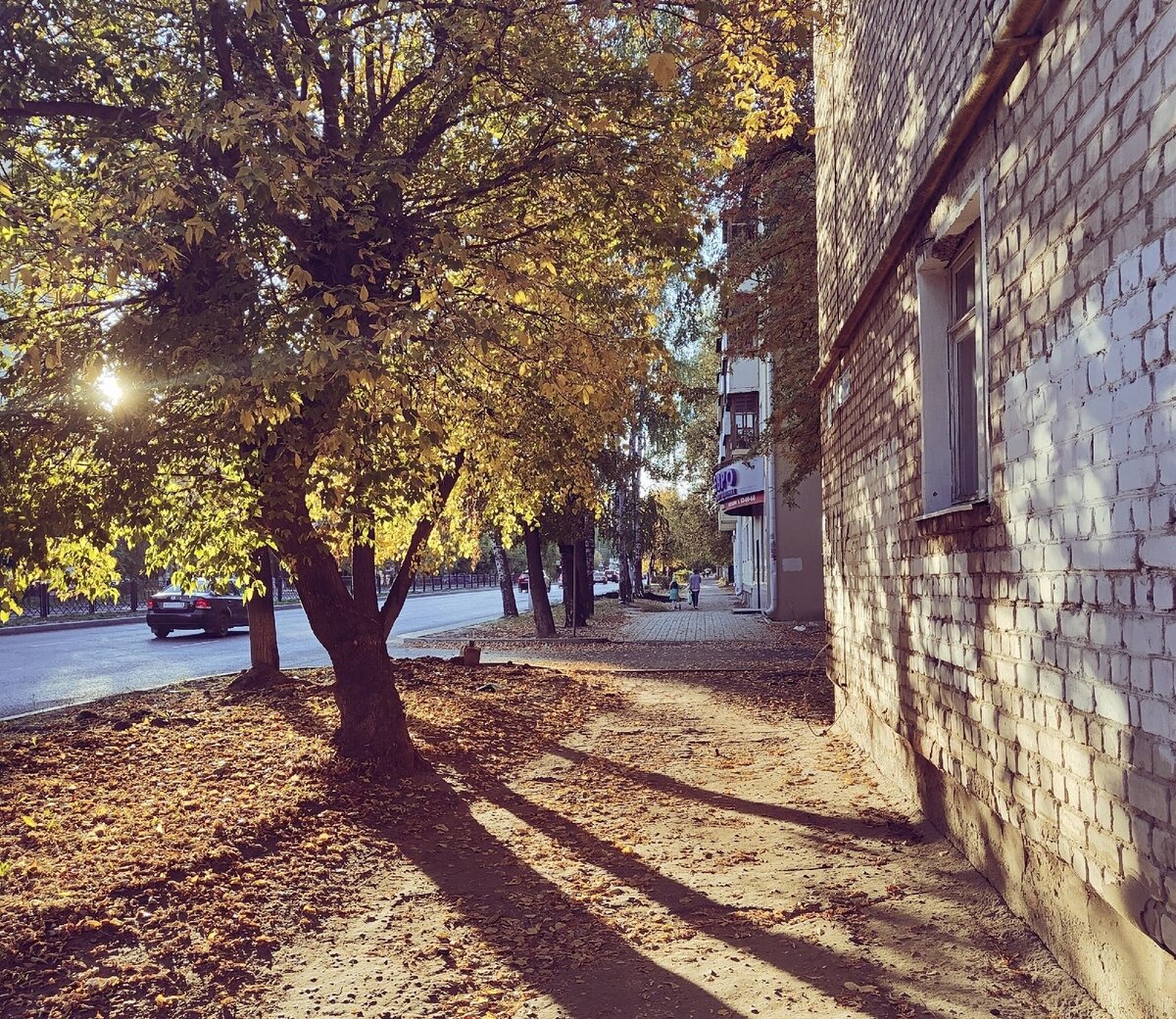 Очень люблю раннюю теплую золотую осень. К сожалению, длится она совсем недолго. Фото автора 