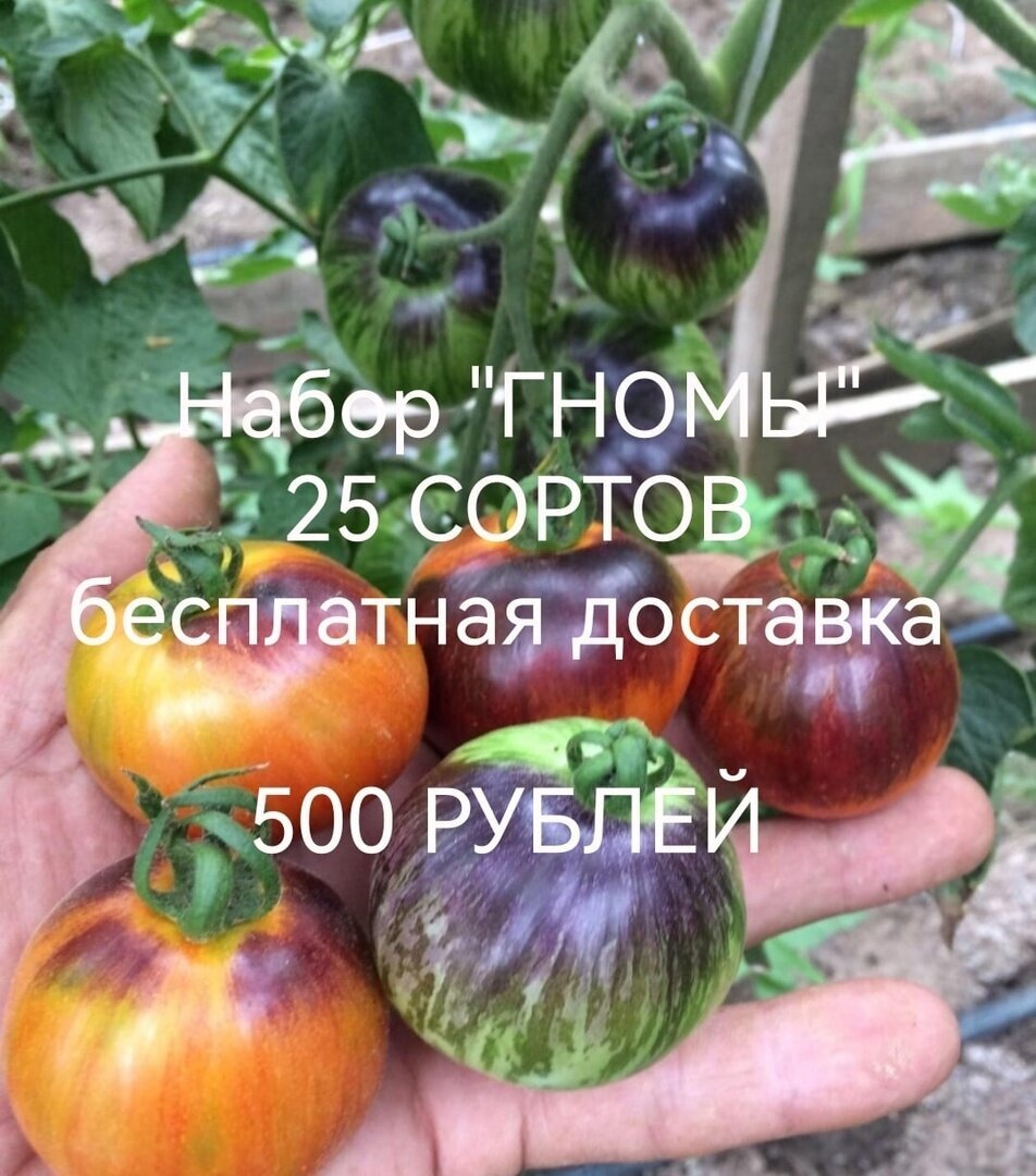 Её объявление о продаже семян. Листайте