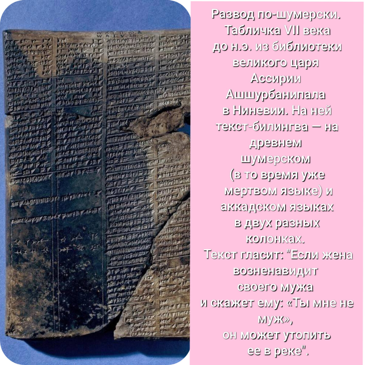 Ведьмёныш.Сон, который не сон. Про обратное заклинание, про князей и про  возвращение | Ведьмины подсказки. Мифы, фэнтези, мистика | Дзен