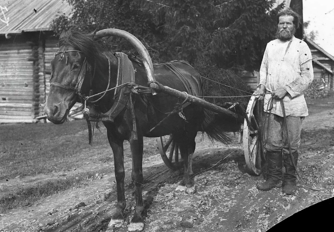 Крестьянин и лошадь. Крестьянская телега. Крестьянская телега с лошадью. Крестьянин. Крестьянин на лошади.