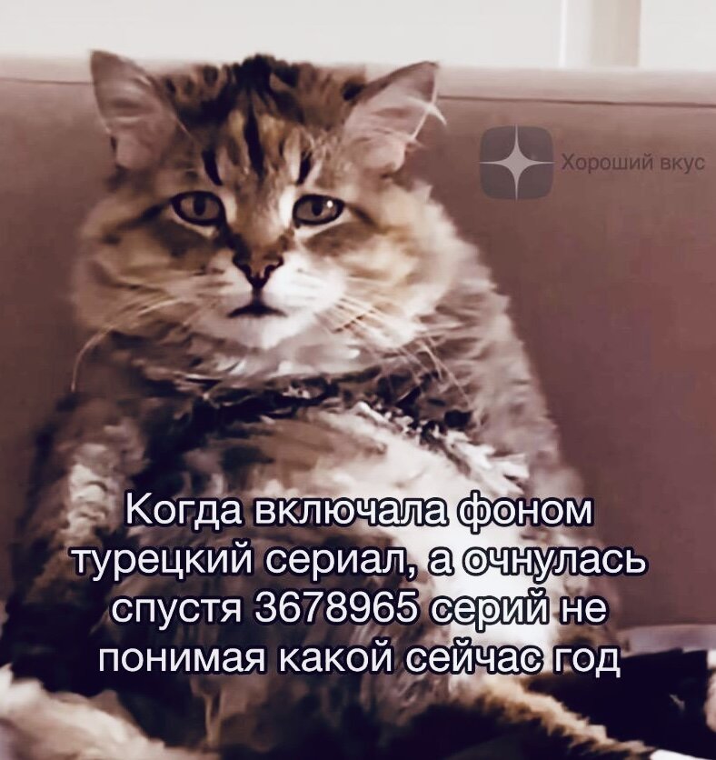 Войти через: