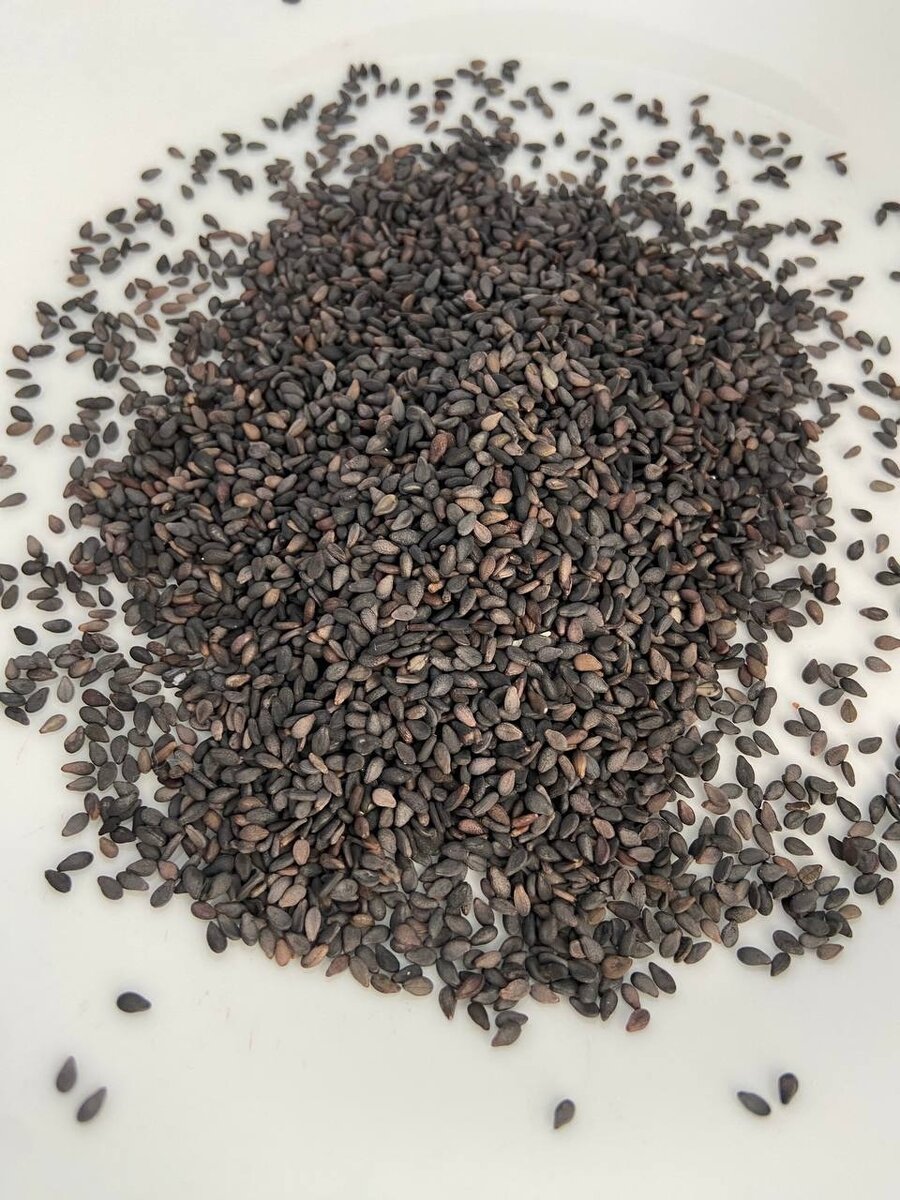 Чёрный кунжут
