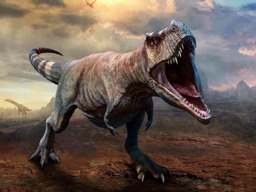 Лапки на фоне здоровенной пасти действительно смотрятся комично.