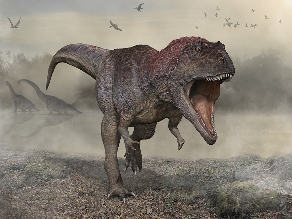 Так вот ты какая, драконица Мираксис...