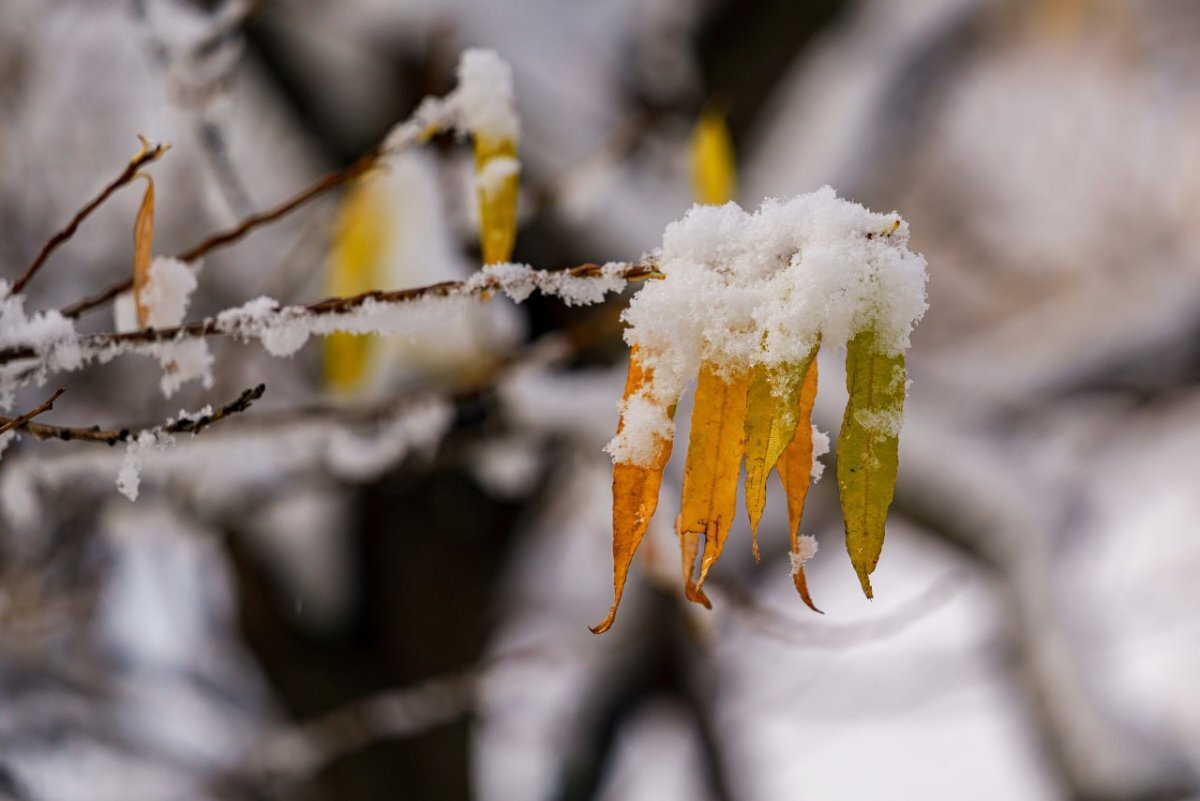    В Камчатском крае циклон задержится всего на сутки