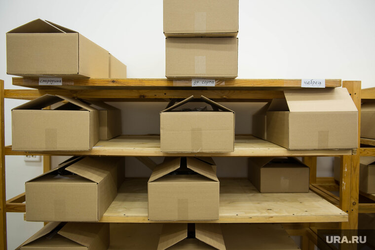    Жителей ЯНАО приглашают работать сборщиками жгутов в Заволжье