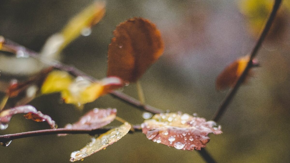    Фото: unsplash.com. Август Макаров