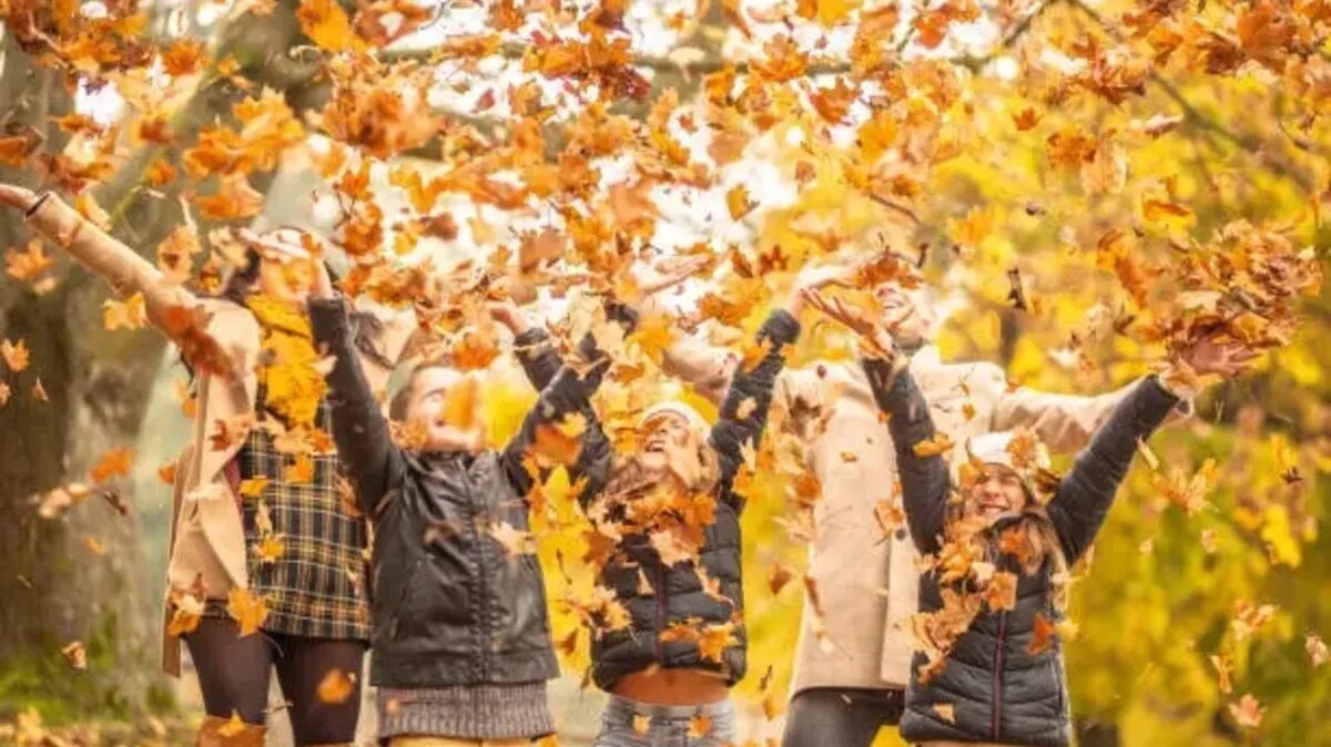 В приближающиеся выходные хорошо прогуляться семьей. Фото: pixabay.com